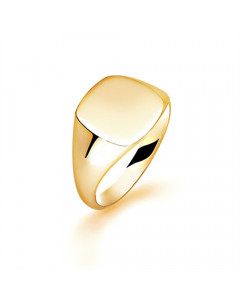 9ct Yellow Gold, Gents Signet Ring, Size S