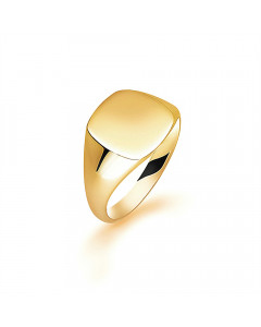 9ct Yellow Gold Gents Cushion Signet Ring